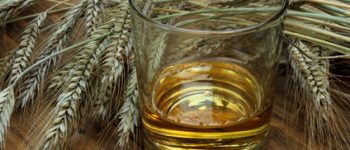 Produkcja Whisky Zbożowej